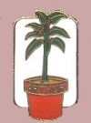 Pin Arthur (The Cactus)